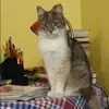 Отзыв от Ирина Ткачева